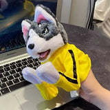 Boxer Buddy (2PCs)
